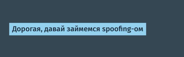 Дорогая, давай займемся spoofing-ом