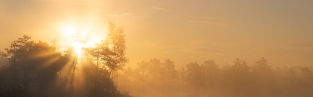 Romet Vaino: sadakond eestlast aovalges sookailude uimas. Mõtteid inimesest