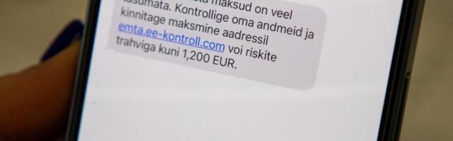 Politsei hoiatab: petturid kasutavad ära tulu deklareerimise aega