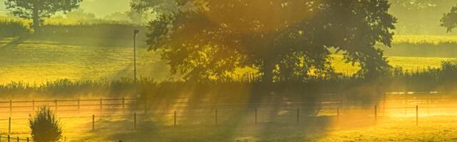 Päevahoroskoop : reede, 1. august