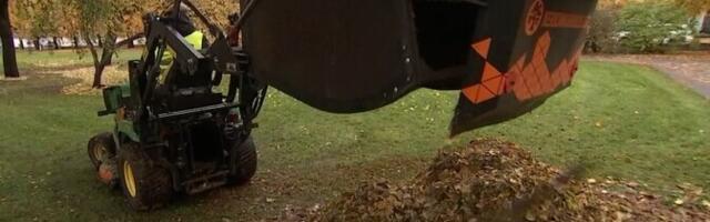 Lehekoristajatel on tööd nii öösel kui päeval