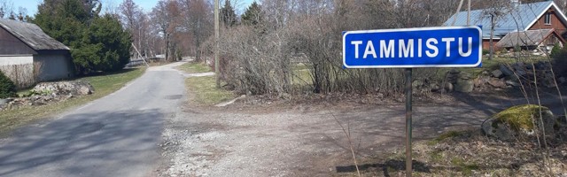 Tam­mis­tu, Lee­si ja Tam­mis­pea kü­las ra­ja­ti ise kii­re in­ter­ne­ti võrk