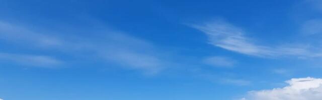 Kurja teinud öökülmad taanduvad