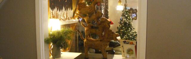 Piparkoogimaania tuli raamatukokku