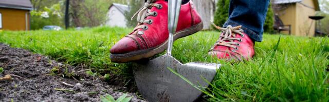 Aiatööd võivad vähendada enneaegse surma riski