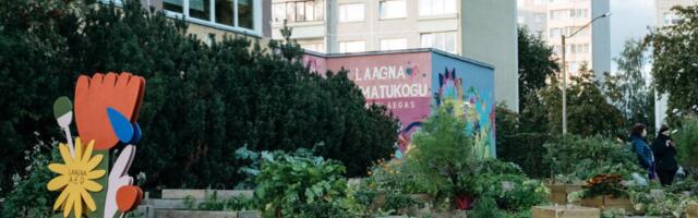 Oma kogukonna ma leidsin peenra vahelt