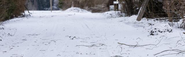 Tormituuled räsisid ka naaberriike. Rootsis hukkus kolm inimest, kes jäid langenud puude alla