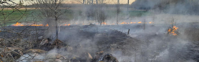 PILDID: Viljandimaal puhkes maastikupõleng, mille süütasid lapsed