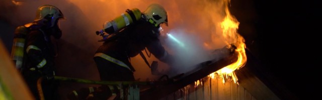 Reporter: Vigased jõuluehted ja elektrijuhtmed toovad jõulude ajal häda ning viletsust