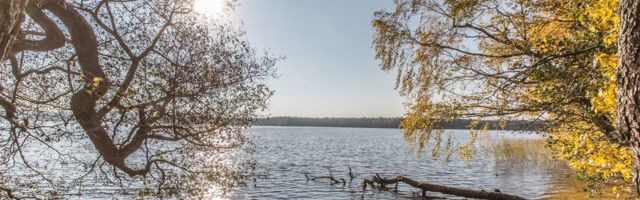 Uljaste järve uppus alkoholijoobes ujuma läinud mees