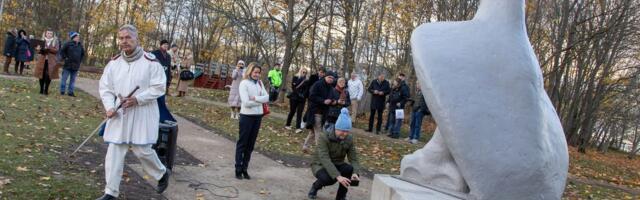 VIDEO ⟩ Saka mõisapargis seadis end sisse Kalevi Viru randa visanud kivikotkas