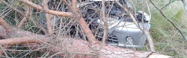 Päästjate ööpäev: kärssama läinud saiake, liiklusavarii ja süttinud prügikast