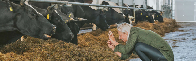 Sel nädalal loodi Eesti agroturismiettevõtteid ühendav nõuandev koda