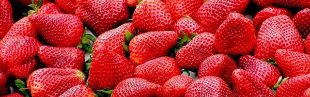 Saksamaa marja- ja köögiviljasaak tuleb oodatust väiksem