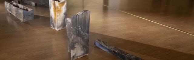 Savist sild sattumuslikkusesse