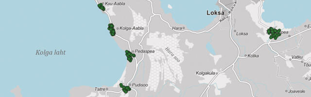 Riik kü­sib val­da­delt lairibavõrgu jaoks ee­lis­ni­me­kir­ju