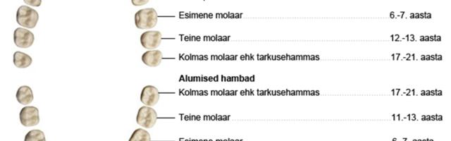 Kas tarkusehambad toovad juurde tarkust? + ALGAB LUULEVÕISTLUS