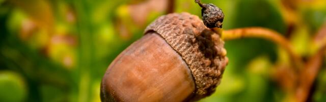 Päevahoroskoop : pühapäev, 14. september