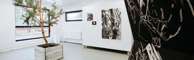 Galerii: Mari Prekupi isikunäituse keskmes on pühapuude pärimus