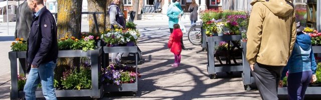 FOTOD | Emadepäev Kuressaares. Vaata, missugune on elu Saaremaa pealinnas pärast pooltteist kuud karme piiranguid