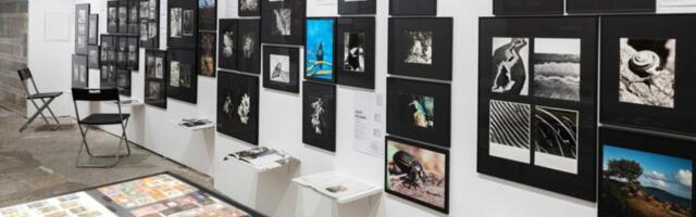 Fotomuuseum tähistab sünnipäeva omalaadse näituseplahvatusega. Loodusfoto aasta näitusi pääseb vaatama 1 euroga!