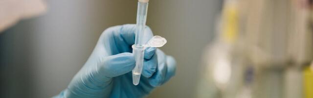 Uuring: Viljatute meeste vähki haigestumine on kõrgem geneetilise eelsoodumuse tõttu