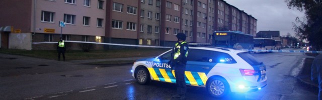 Busside pihta õhkrelvast lasknud nooruk saadeti vangi