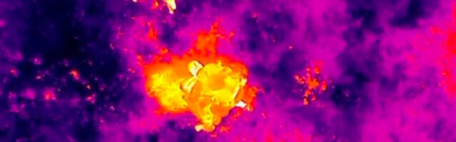 VIDEO: Politseidrooni ja teenistuskoera abil leiti Tartumaal metsa eksinud naine