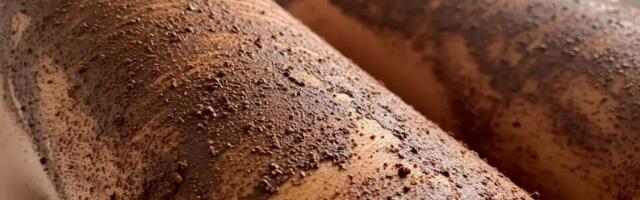 Ära viska kohvipaksu minema: lihtne nipp, mis muudab sinu jalad siledaks ja säravaks.