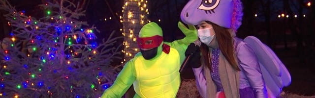 Reporter: Stroomi pargis avati jõulumaa!