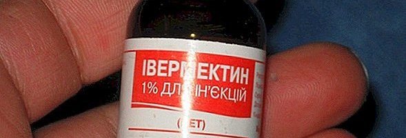 Ravimiamet: vaid inimuuringud saavad tõestada ivermektiini mõju koroona vastu