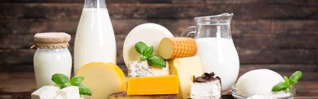 Uuring: piim ja juust avaldavad vastandlikku mõju soolestiku mikrobioomile