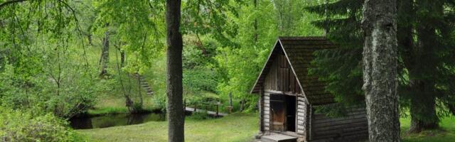 Aubrey Lay: Eesti ongi American Dream. Üheksa põhjust, miks teie riiki armastada