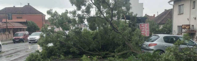 NEVREME UNIŠTILO ČAČAK! Drveće pada po ulicama, auto oštećen, tragedija izbegnuta (FOTO)