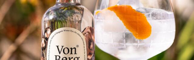 Džinnikokteilide ajalugu_ džinntoonik, Negroni ja Tom Collins