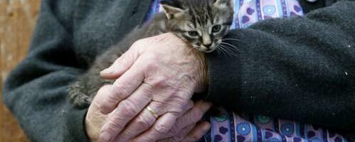 Pikaajaline hooldus: tuge vajavad nii hooldatavad kui hooldajad