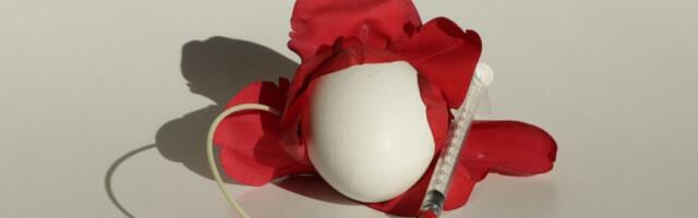 Naistearstide selts: munarakudoonorile makstavale summale tuleks kehtestada lagi