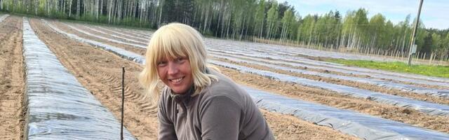 Venemaa segajad vussisid Põlvamaal vaarikaistutamist