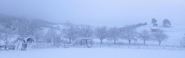 MINUS 15, ZAVEJANI GRADOVI I ZALEĐENE REKE Ristić upozorava: Zima kakvu Srbija ne pamti – sledi MINUS 15 i ARKTIČKI talas!