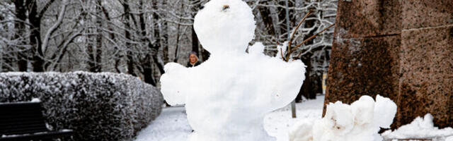 Reedel tuleb külma juurde