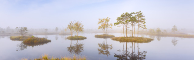 Fotolugu: sügis Rubina rabas