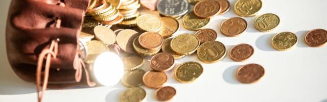 UURING PALJASTAB ⟩ Kui suurt palka on toimetulekuks tarvis? Summa on järsult kasvanud