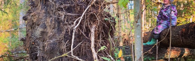 Mart Kase: maskiga ütle ka “Tere!”