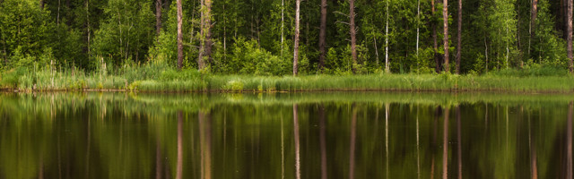 Valdur Mikita: soode ja metsajärvede laps. Henry David Thoreau “Walden”
