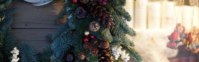 REEDEL! Õismäe tiigi kaldal tuleb tasuta talvekontsert ja laat