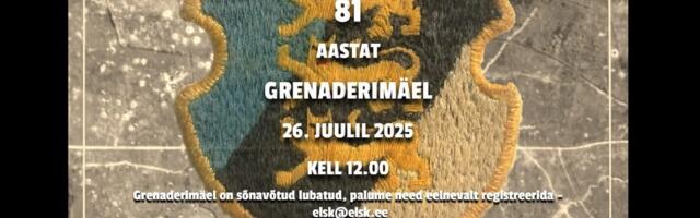 Tänavu möödub 81 aastat Eesti kaitselahingutest