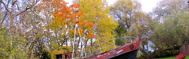 RUSLAN DONTSOVI GALERII: kuldne sügis Viimsis