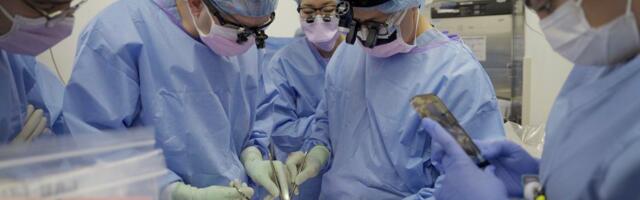 Sea organite inimestele siirdamine on USA-s lubatud, aga inimorganite sigades kasvatamine mitte. Miks?