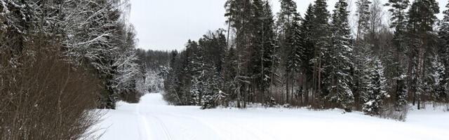 Jaanuaris saabunud talv rõõmustab Tartu maratoni läbiviijaid