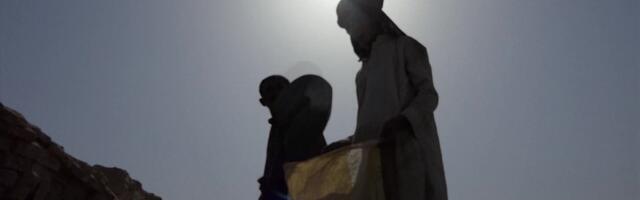 Eesti kuumalaine pole midagi hullu! Kuidas on elada ligi 50 kraadise kuumusega?